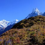 Mardi Himal Tea House Trek, Cost, Itinerary