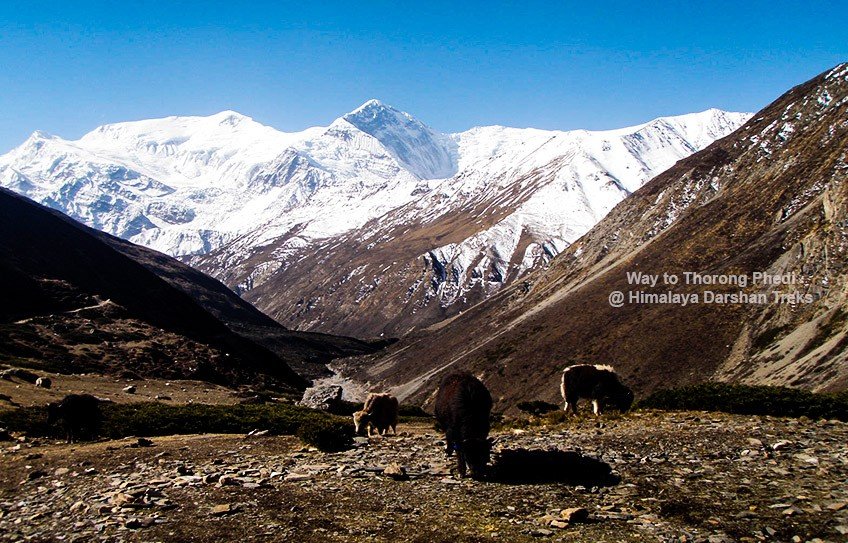 Annapurna Circuit, Thorongla Pass Trek