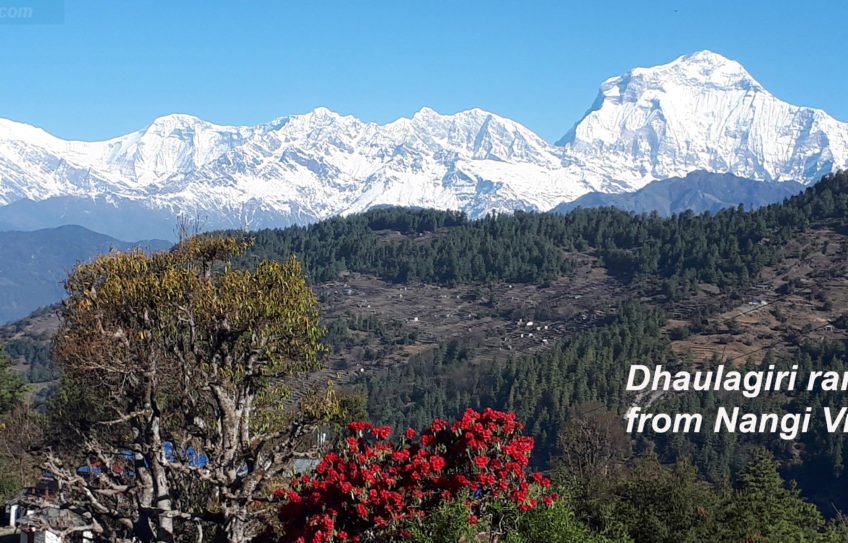 Mohare Danda Trek, Mohare Danda